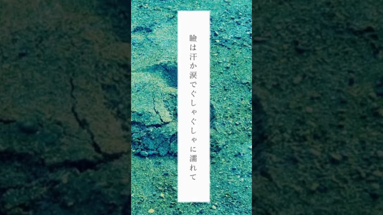 いつもの得意な嘘だと思ってた。 #転校前夜 #sorisawada #オリジナル曲