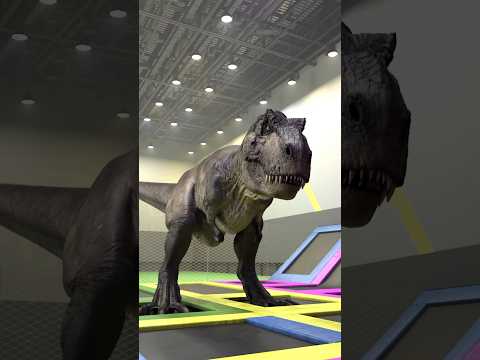 Rexy is flying | T-Rex Meme 05