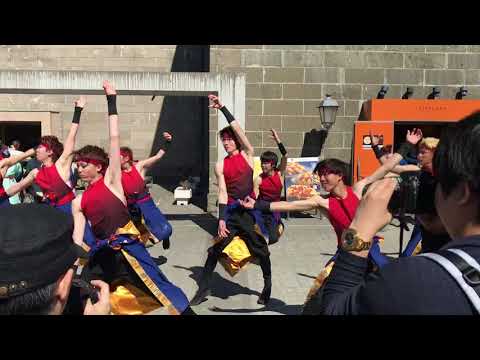 商学科 小樽商科大学"翔楽舞" 2018おたる春祭り堺町演舞 "咲繋"
