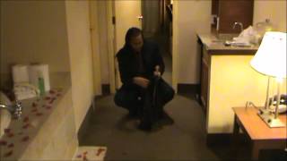 The Seduction 1st edit