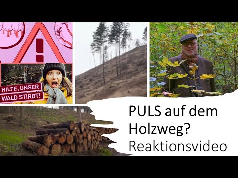 PULS auf dem Holzweg? | Reaktion