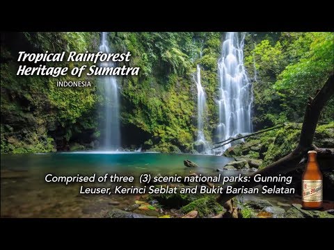 San Miguel Beer | World Heritage Series:  Sumatra, Indonesia