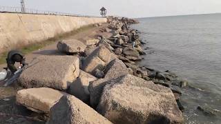 Каменское водохранилище мариуполь рыбалка 2020