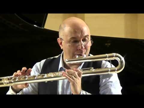 @ionbogdanstefanescu  Violeta Dinescu - Circuit for Bass Flute