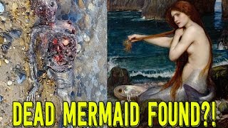 Man Finds 'DEAD MERMAID' on Deserted Beach