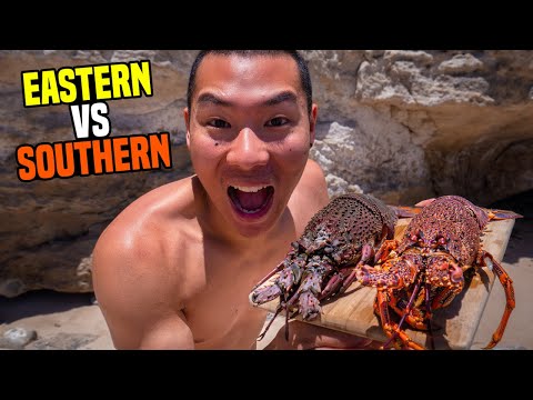 Lobster Showdown: Eastern vs Southern Rock Lobster (STATE RECORD)