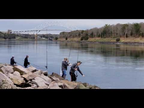 2020 Cape Cod Canal Herring Run