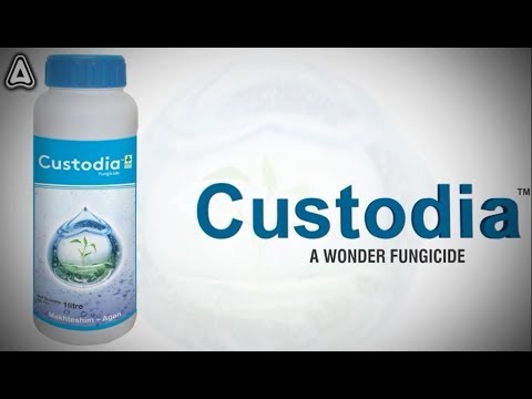 fungicide custodia adama