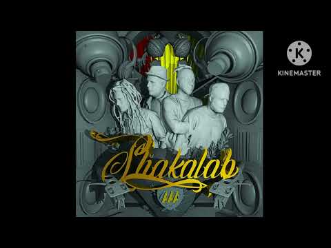 Shakalab x Forelock - Highlander