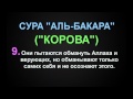 СУРА "АЛЬ-БАКАРА" ("КОРОВА") аят - 9 