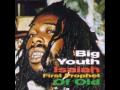 Big Youth - Wolf in Sheep's Clothing - 100% Q