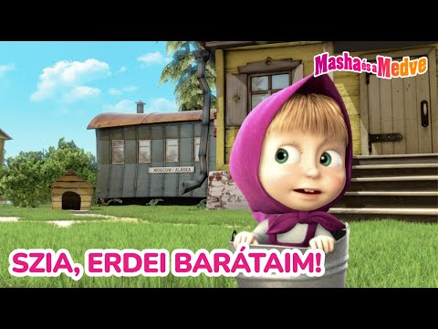 Masha és a Medve 👋🌲 Szia, erdei barátaim! 🐻😊  Kedvenc epizódok
