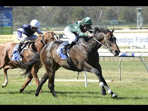 2013 BTC Bendigo Cup