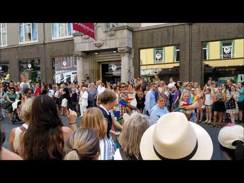 Oslo Pride Parade Highlights 2017
