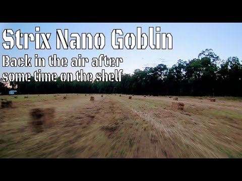 strix-nano-goblin-back-in-the-air-for-a-sunset-flight