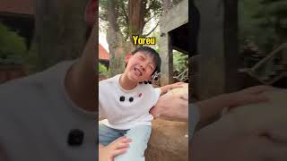 Download lagu Kebo yareuu mp3