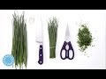 How to Chop Chives with Martha Stewart