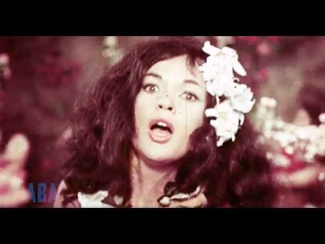 Primitive Love trailer (1964) Jayne Mansfield! 4K scan