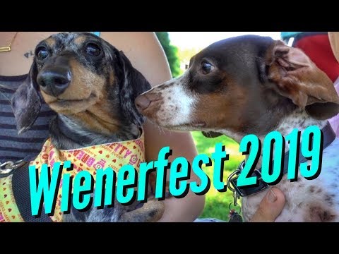 download lagu mp3 mp4 Wienerfest, download lagu Wienerfest gratis, unduh video klip Wienerfest