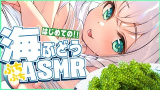 ASMR開始! - 【ASMR】はじめての!ぷちぷち海ぶどうを食べる!【ホロライブ/白上フブキ】