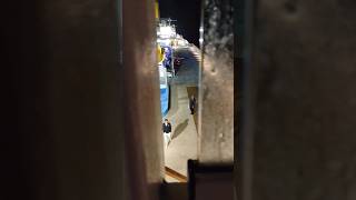 Playing Hide and Go Seek with Security for Literally No Reason #carnivalvenezia #security #cruise