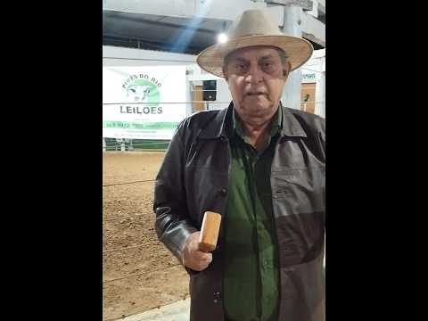 PIRES DO RIO LEILÕES - PIRES DO RIO - GO - 09/03/2026