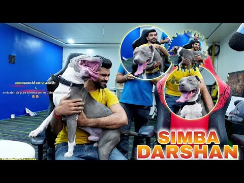 SIMBA DARSHAN ON LIVE STREAM 🐕😂 | FUNNY HIGHLIGHT | SHREEMAN LEGEND