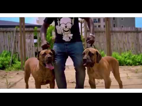 Yung baba - Oso - Official Video - Chelz ProTv