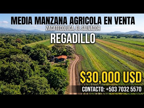 MEDIA MANZANA EN VENTA CON REGADILLO | ZACATECOLUCA | LA PAZ | EL SALVADOR | $30K