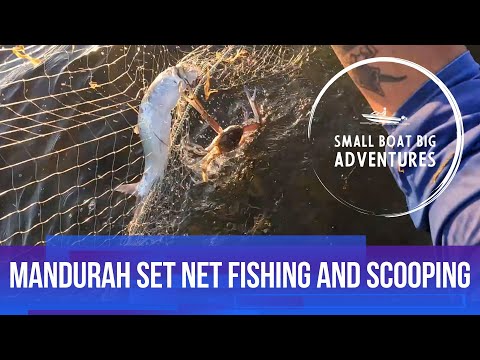 Fishing with the Set net in Mandurah while scooping some Crabs!