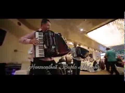 Milenko Bujdo i orkestar Baneta Vasica - Kolo