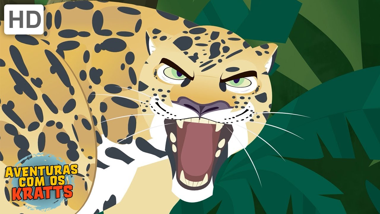 Criaturas do Caribe | Macacos, tubarões + mais! [episódios completos] Aventuras com os Kratts