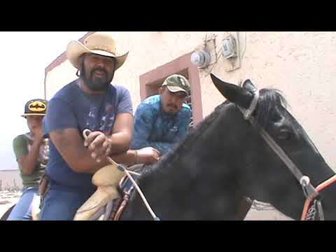 SAN JOSE DEL LLANO MUNICIPIO DE MIQUIHUANA TAMAULIPAS