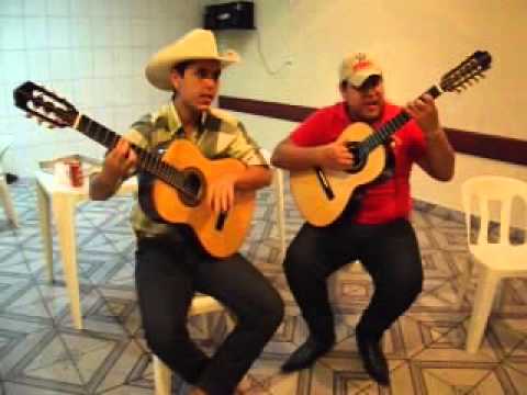 Júnior Violeiro & Ronaldo Filho (Viola Pagodeira)