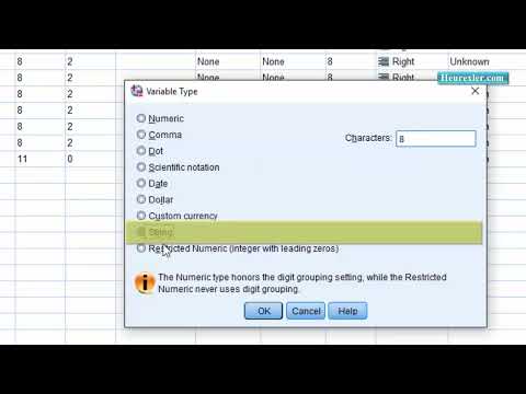 008 Spss Variable Type String
