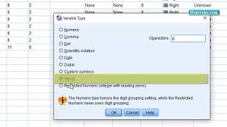 008. SPSS Variable Type String