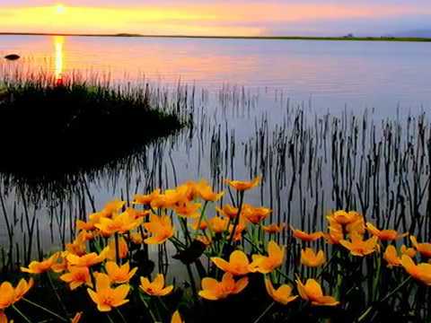 Stúlkan mín - Halli Reynis