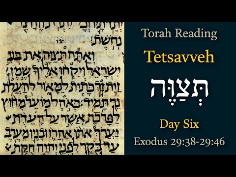 Tetzaveh - Day 6 | Torah Portion | 07-Mar-2025 | Exodus 29:38-29:46