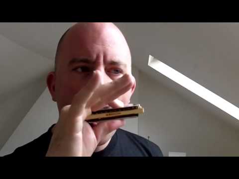 Hohner Thunderbird  Review (Low tuned Harmonica)