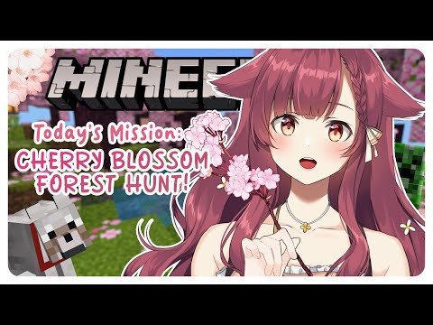 Exploring for Cherry Blossom Biome in Minecraft 🌸🍒