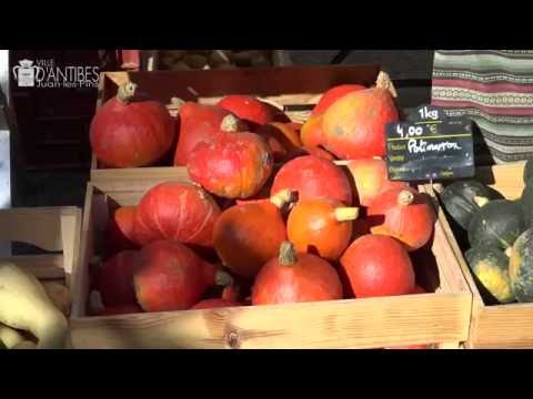 download lagu mp3 mp4 Magasin Bio Juan Les Pins, download lagu Magasin Bio Juan Les Pins gratis, unduh video klip Magasin Bio Juan Les Pins