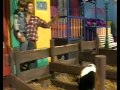 Sesamstraat Is Jarig Frank N Kuiken Is Geen Kip