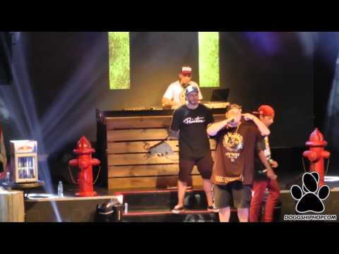 Beelze vs Dozer - Cuartos Batalla de los Gallos Buenos Aires 2017