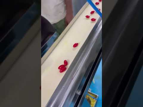 Vitamin K27, Vitamin D3, Cyanocobalamin And L-Methylfolate Softgel Capsule