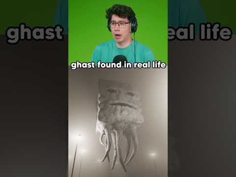 Finding a Minecraft Ghast in Real Life! 😨 #reaction