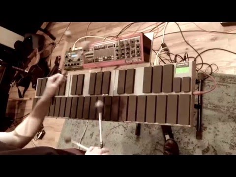 Tyler Blanton Electric w Ari Hoenig, Massimo Biolcati- "BabySmacker"