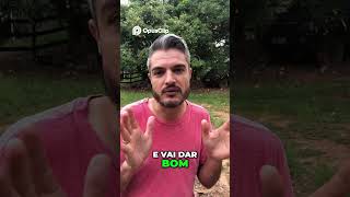 Erre Certo  A Estratégia para o Sucesso