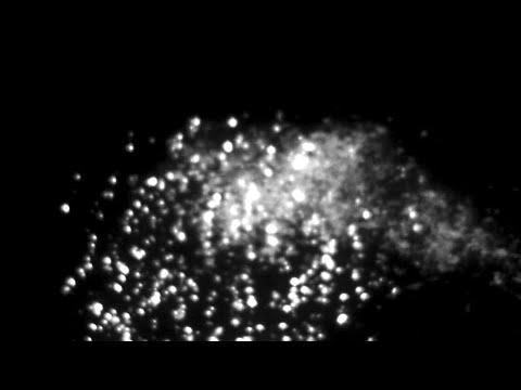 WAITING TO DISAPPEAR