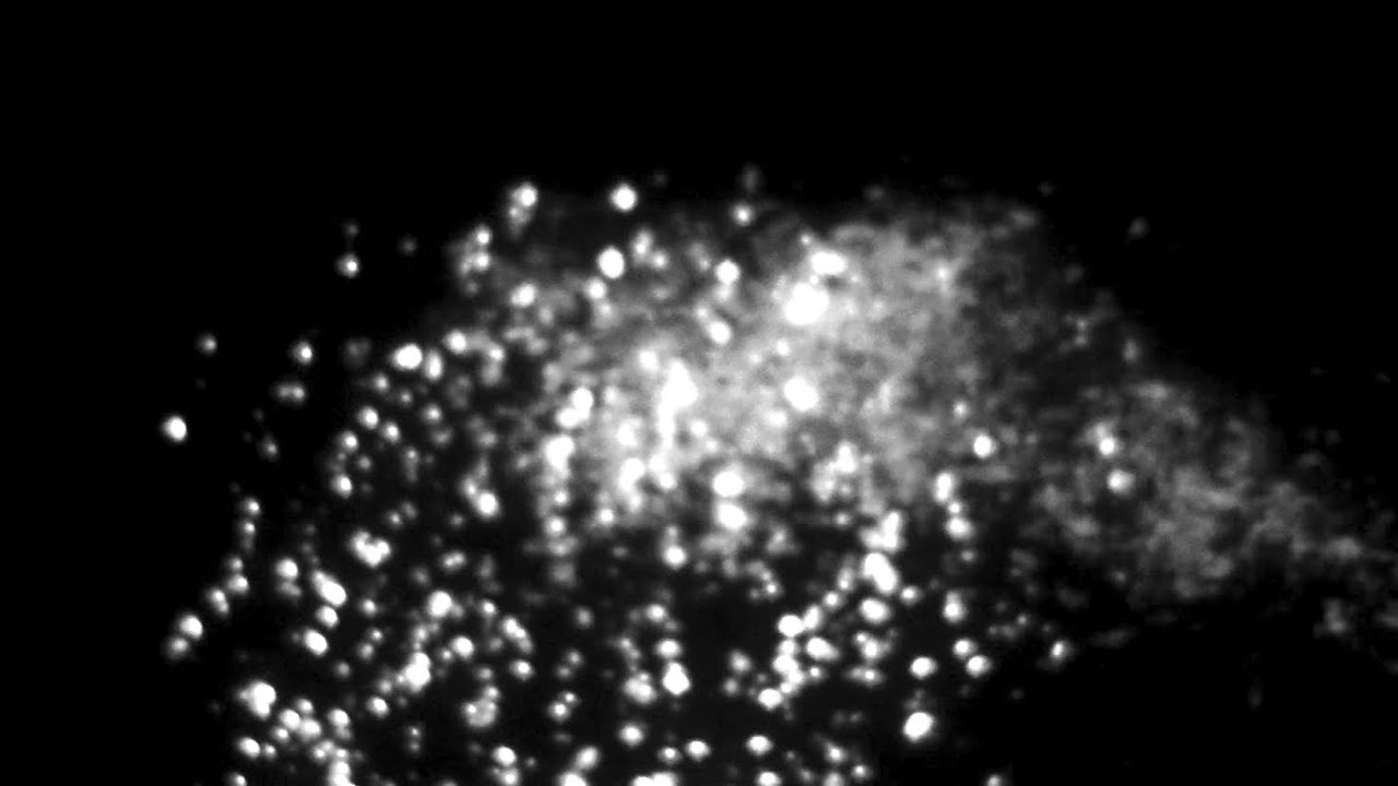 WAITING TO DISAPPEAR