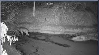 Thumbnail del capítulo